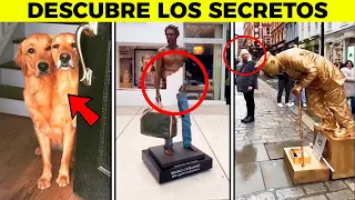 1 HORA DE LAS MEJORES HISTORIAS CURIOSAS DE 2023