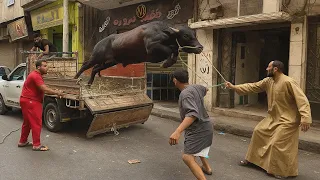 العجول الهربانه في العيد تجميعة 2025 مستحيل تكمل للنهاية من الضحك 😂