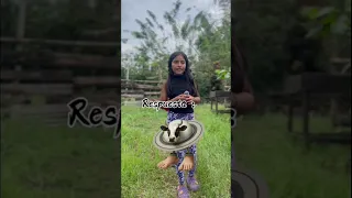 Adivina los personajes