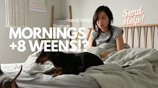 FULL MORNING ROUTINE WITH 8 WEENS.