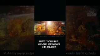 11 января 2026 г.