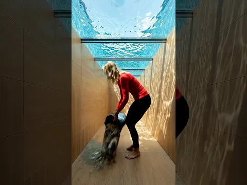 Built a Secret Room Under Pool | Epoxy Flooring