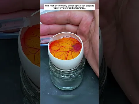 This man accidentally picked up a duck egg and was very surprised afterwards.