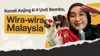 Kenali Anjing K-9 Unit Bomba, Wira-wira Malaysia! | Cerita Dia Camni