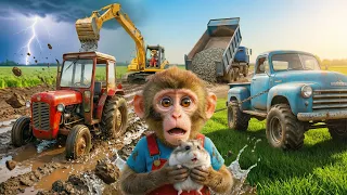 🐒🚜 Monkey NaNa’s Tractor Gets Stuck After the Big Rain… How Will She Escape | Farm Story