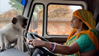 Monalisa’s new Tata 12 wheels Hiwaa driving and unloading with her cute baby langoor Sundri Chulbuli