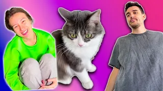 TikTok CosefNastya Cat Videos 😢