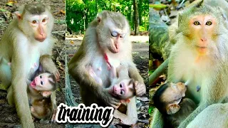 ohGod, Lauy Trains Newborn Very Str/ange, Adorable Newborn Monkey Try to Understand Mum Wro/nge Way