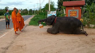 น้องดาว คานใส่บาตรให้แม่จิณณ์วันเกิดของท่าน!
