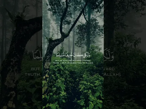 most beautiful quran recitation ❤️ 🎧 #bestquranrecitation #emotionalquran #qurantilawat #quran