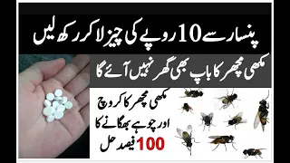 How To Get Rid Of Flies In The House | Mosquito Killer | Makhi Machar Bhagane Ka Tarika