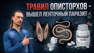 Травил описторхов - вышел ленточный паразит