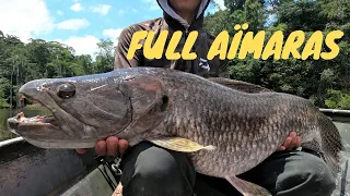 Les AÏMARAS ont envahi le lac de Petit Saut! (Je triche !)