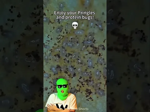 هل فعلاً الشيبس يحتوي على حشرات؟ جربت بنفسي والنتيجة صادمة! 😱🔬🍟