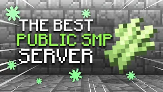 New PUBLIC Minecraft SMP SERVER To Join in 2024 (free to join!)