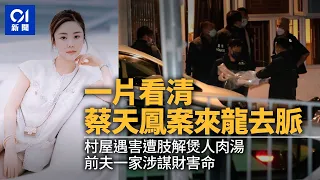 香港名媛蔡天鳳碎屍案｜一片看清來龍去脈 遇害遭肢解 前夫鄺港智一家謀財害命｜香港新聞｜Hong Kong News | Abby Choi｜蔡天鳳案｜完整版