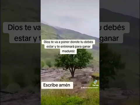 Deja que Dios guíe tus caminos.