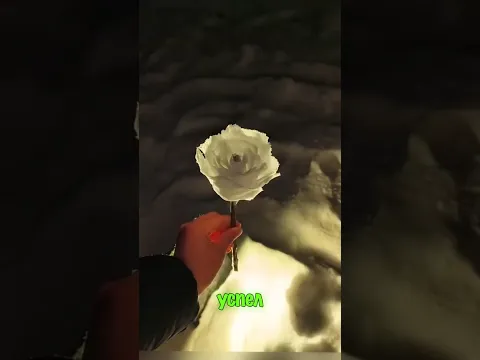 Роза из снега 😁🌹