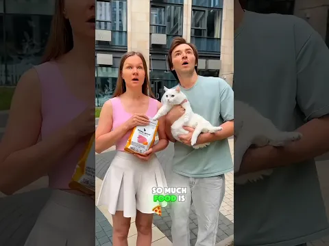 When the owner forgot to feed the kitty 😿🍽️😱