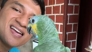 Viaja conmigo el cholopo está en vivo