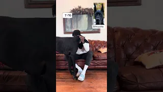Do you think you could’ve guessed them All correctly? 🧐 #dogsofyoutube #funnydogvideos #funny video