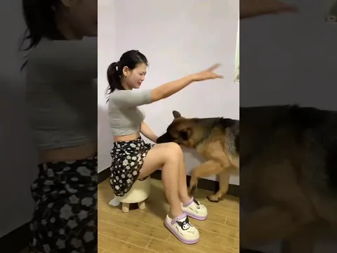 smart Dog know how to take revenge🤮#youtubeshorts #funny_animal #funny #smartdog