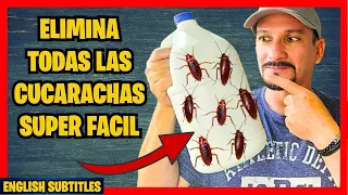 COMO ELIMINAR TODAS las CUCARACHAS FACILMENTE con una botella plástica | Gio de la Rosa