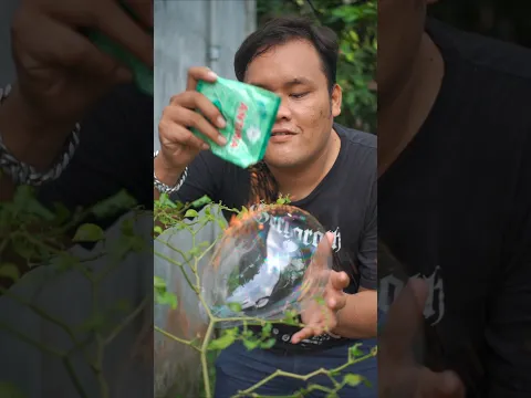 itu gelembung bang jangan dimakan
