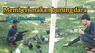 Memberi makan burung di Alun_Alun kota Malang #kotamalang#alunalunmalang