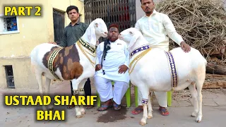 Ustaad Sharif Bhai Part 2 Nayab Natiya & Gujri Goat