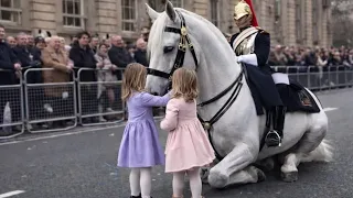 Incredible Moments of Respect Between Horses and People