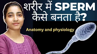 Sperm formation|Anatomy and physiology|Alka Thakur|