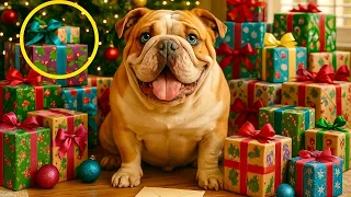 POLAR Descubre sus Regalos de Reyes Magos