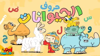 أغنية الحروف العربية مع الحيوانات والمزيد من الأساسيات 40 دقيقة 🦁🐢 | آدم ومشمش