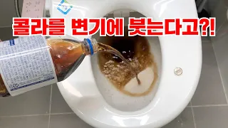 콜라를 변기에 붓는다고?! / 김빠진 콜라 변기에 붓는 분들 보세요!