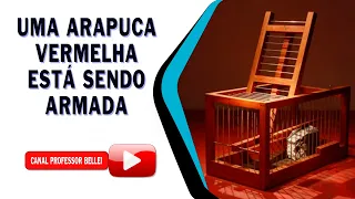 BRASIL EM SINAL DE ALERTA! PERIGO! PERIGO!