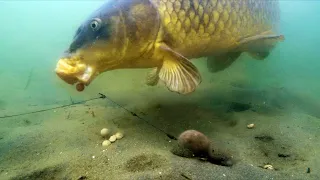 Best underwater fishing takes
