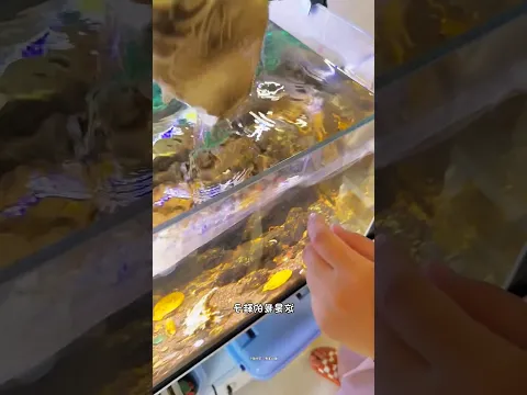 fish 🐠 sliper/New Viral Gadgets, Smart Appliances, Kitchen Utensils/ Home Inventions #gadgets#shorts