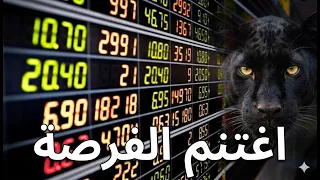 لماذا يخسر الأذكياء الفرص؟