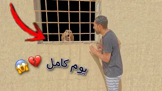 كلبي ( تويكس ) قرر يرجع ذكريات جاك 💔 وقفل باب الغرفه على نفسه 🙀