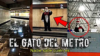 EL Perturbador GATO del SOMBRERO en el METRO de la CDMX