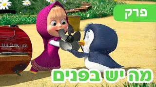 מאשה והדוב 👱‍♀️🪛 מה יש בפנים 🐻🐧 (פרק 81) ⭐️ סרטים לילדים