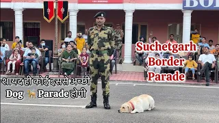 शायद ही कोई इससे अच्छी Dog  🦮 Parade होगी #suchetgarh #dog #bsf