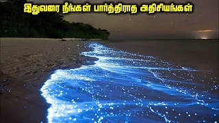 இதுவரை நீங்கள் பார்த்திராத அதிசியங்கள் |Mysteries That You Never See In Your Life | Mind Voice tamil
