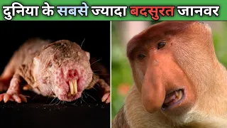येहैं दुनिया के सबसे बदसूरत जानवर‌ | world top five most ugliest animals | Fact Trilogy