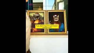 #dadidachannel #cat