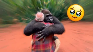 When Animals Love — No Words, No Lies, Just Truth