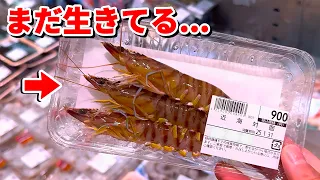 スーパーに売れ残っていた瀕死のエビを飼育してみると…