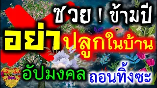 15 ต้นไม้ ไม่ควรปลูก ไม่ควรนำเข้าบ้าน ห้ามปลูกในบ้าน อับโชค ขัดลาภ ไม้อัปมงคล ซวย!! อย่าปลูกในบ้าน🏡🌼