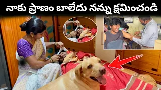 అన్నయ్య కి ఏమీ కాదు నన్ను క్షమించండి|1M Celebrations కి ఇన్ని ఆటంకాల🤒| @upendragani